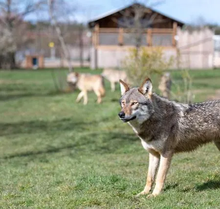 Lodges Insolites Chez Rdv En Terre Animale Sury-aux-Bois Buitenkant foto